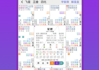 星理 V2.0.5 紫微斗数排盘 八字算命