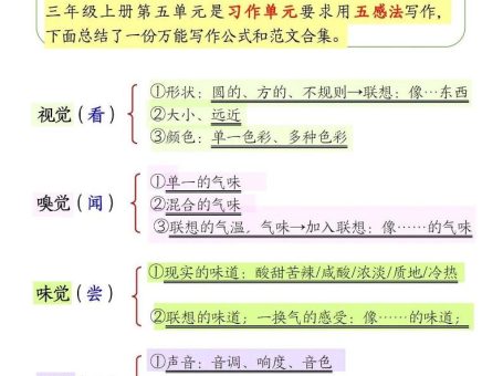 三上语文-作文万能公式五感法