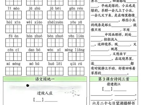 六上语文课内1-8单元基础知识默写单8页