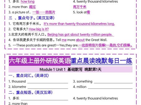 六上外研版英语重点晨读晚默每日一练(20页)三起点