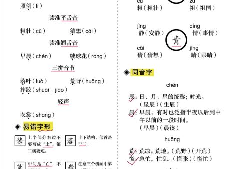 三上语文-重点必背清单《知识识记与方法要素》必考