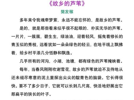 小学生暑假每日晨读美文-小升初语文