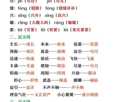 【2025秋新版】六年级上册语文第五单元重点考点梳理