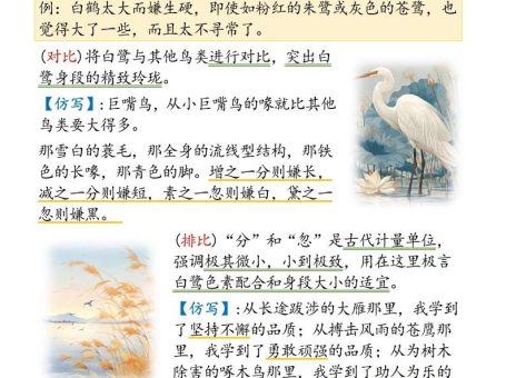 五年级语文上册暑假预习仿写句子