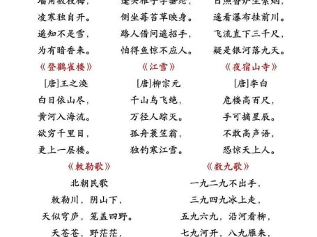 25秋二上语文暑假预习重点知识汇总20页