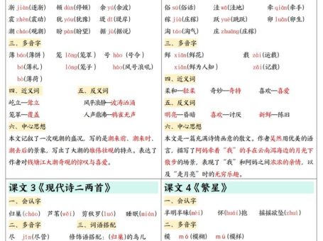 四上语文知识点课课贴7页