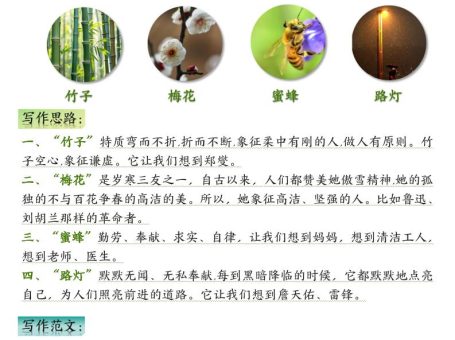 五上语文1-8单元课后小练笔(13页)