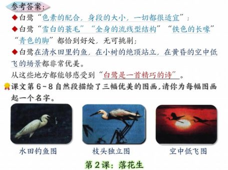 五年级上册语文课后练习题参考答案23页