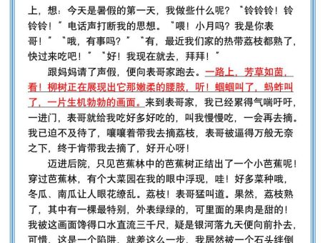 小学生必写优秀暑假作文范文4篇-小升初语文