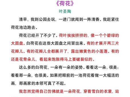 小学生暑假每日晨读美文:叶圣陶《荷花》-小升初语文