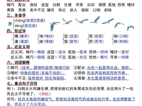 五上语文暑假预习知识晨读单(33页)