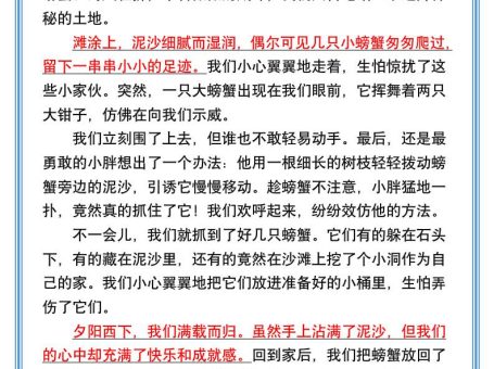 小学生必写『暑假的一天』优秀范文精选-小升初语文