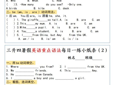 三升四暑假英语重点语法每日一练小纸条-四上英语