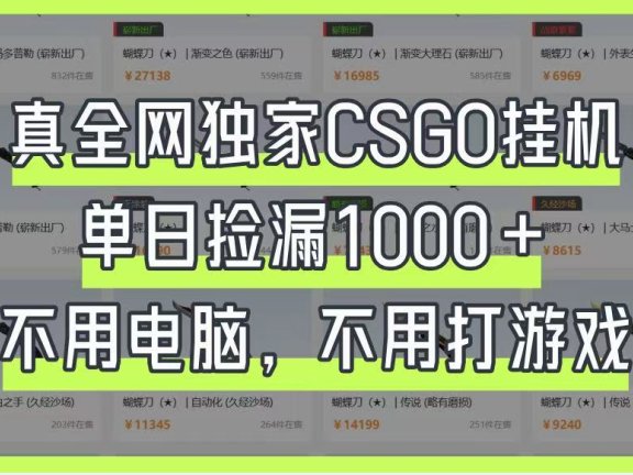 真全网独家CSGO挂机，单日捡漏1000+，不用电脑，不用养号