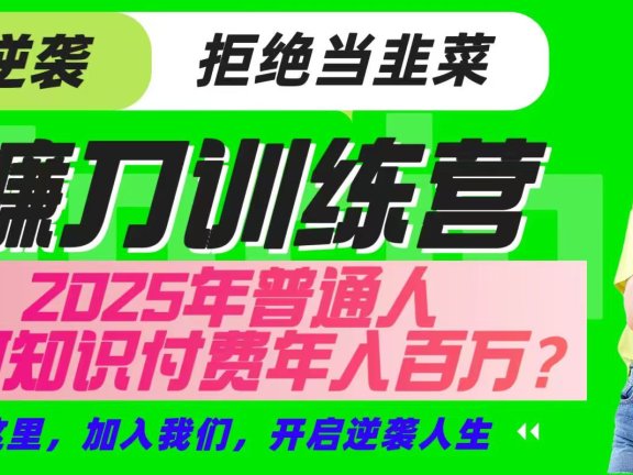 镰刀训练营超级IP合伙人，25年普通人如何通过“知识付费”实现逆袭