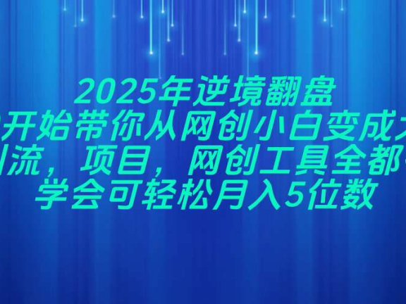 2025年逆境翻盘，从0开始带你从网创小白变成大佬，引流，项目，网创工…