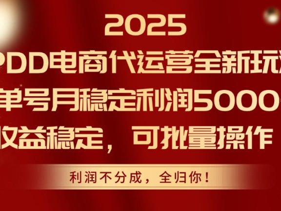 2025PDD电商代运营全新玩法，单号月稳定利润5000+，收益稳定，可批量操作