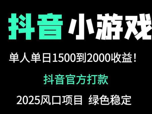 抖音官方小游戏2025全网最新玩法，暴利赚钱项目，单机日入2000+