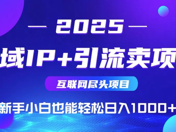 私域IP+卖项目，普通人小白也能轻松实现日入1000+