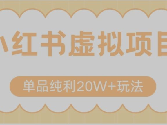 小红书卖虚拟产品，单品纯利20W+玩法分享（节系列课程）