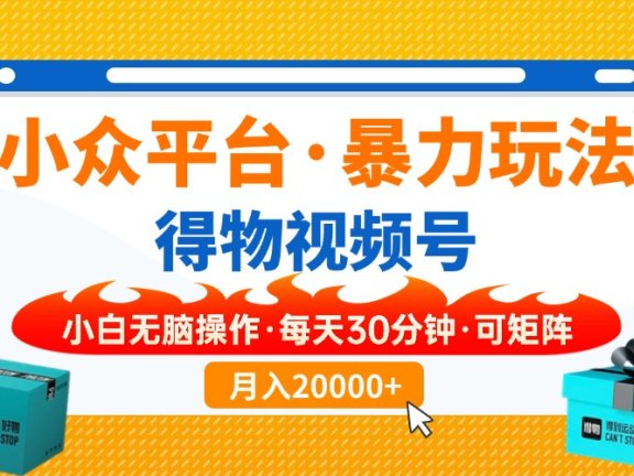 小众平台暴力玩法，一键搬运爆款视频，可矩阵小白无脑操作，每天30分钟…